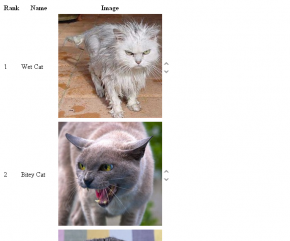 Catimages