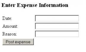 The Expense Report  