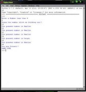Guess_the_number_game