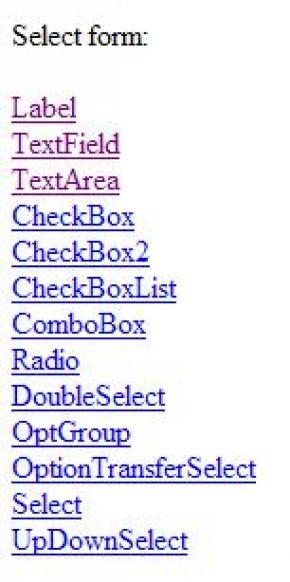 Form Tags 