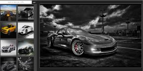 MyGalleryViewer