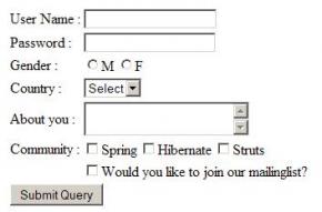 Spring Simple Form Controller Example 