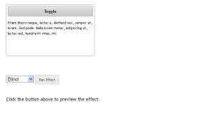 Toggle Example