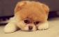 LanaS's picture